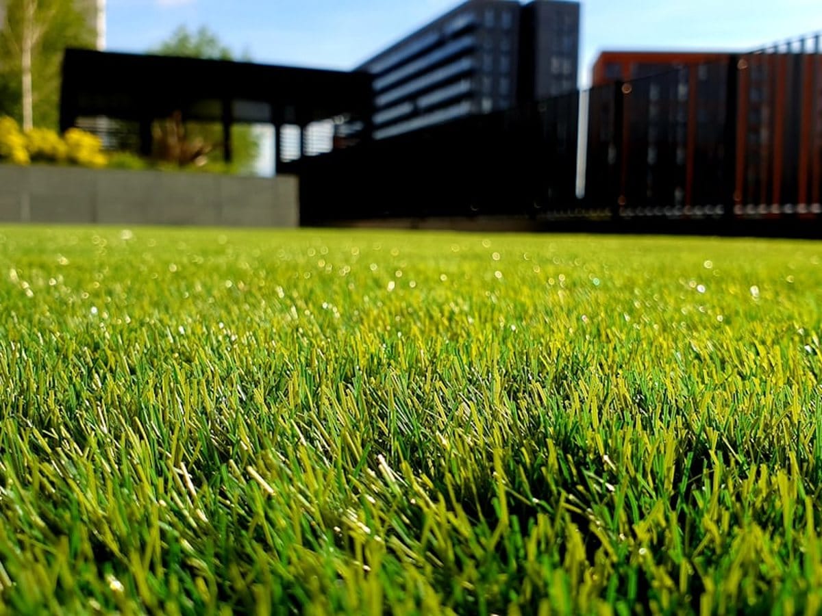 Freshly maintained lawn outside a commercial site